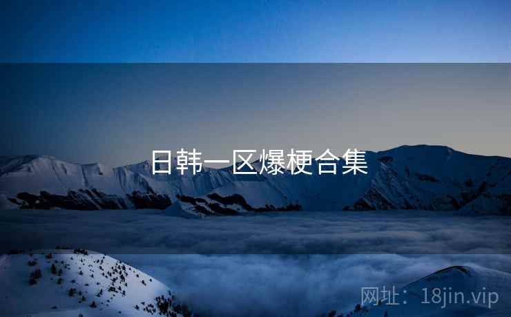 日韩一区爆梗合集