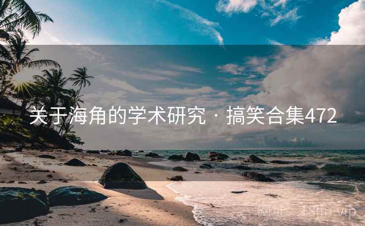 关于海角的学术研究 · 搞笑合集472