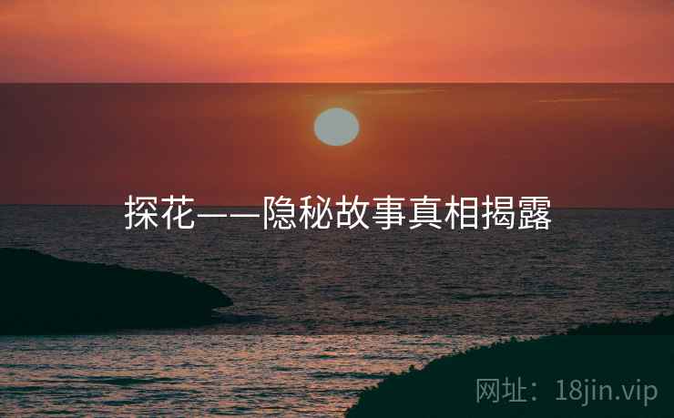 探花——隐秘故事真相揭露