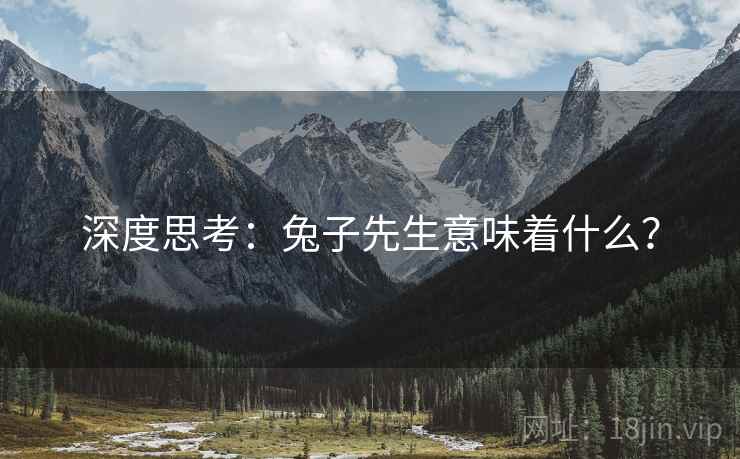 深度思考：兔子先生意味着什么？