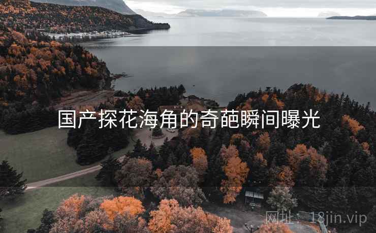 国产探花海角的奇葩瞬间曝光