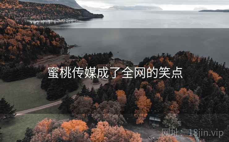 蜜桃传媒成了全网的笑点 蜜桃传媒成了全网的笑点