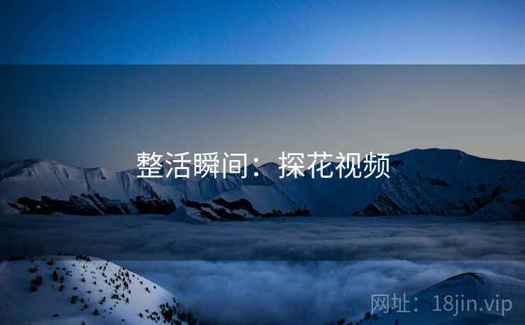 整活瞬间:探花视频