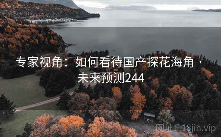 专家视角:如何看待国产探花海角 · 未来预测244 专家视角:如何看待国产探花海角 · 未来预测244