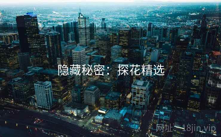 隐藏秘密:探花精选
