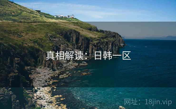 真相解读:日韩一区