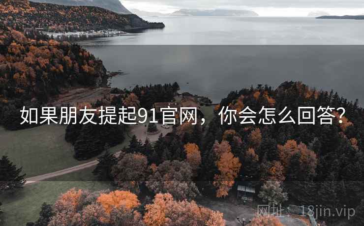 如果朋友提起91官网,你会怎么回答?