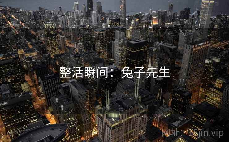 整活瞬间：兔子先生