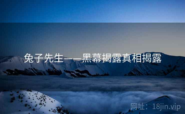 兔子先生——黑幕揭露真相揭露